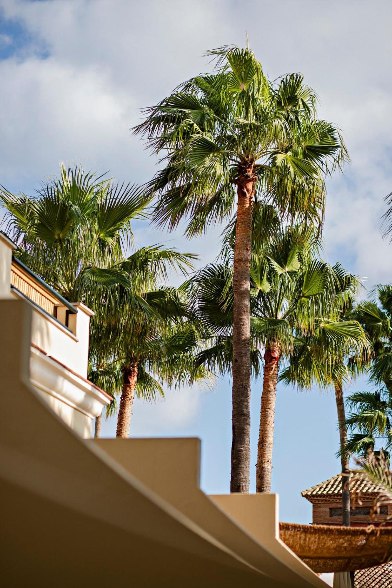 Alcaidesa Boutique Hotel 外观 照片
